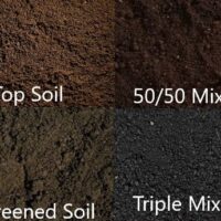 Soil